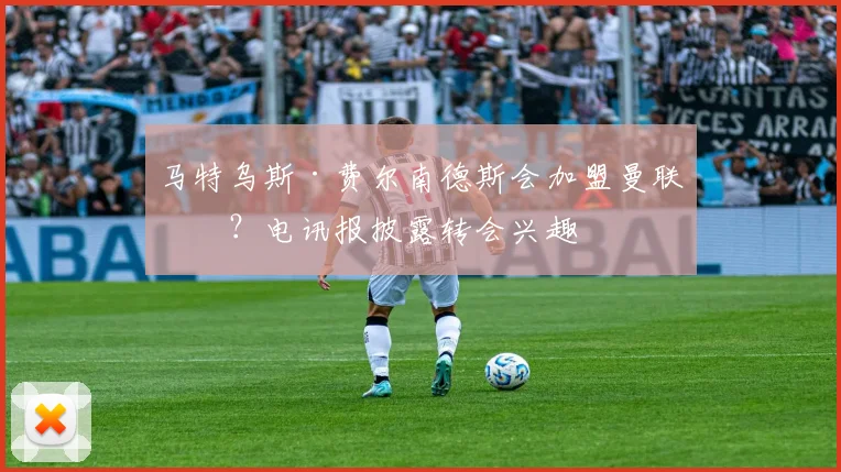 马特乌斯·费尔南德斯会加盟曼联吗？电讯报披露转会兴趣